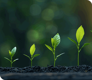 Exponential Growth